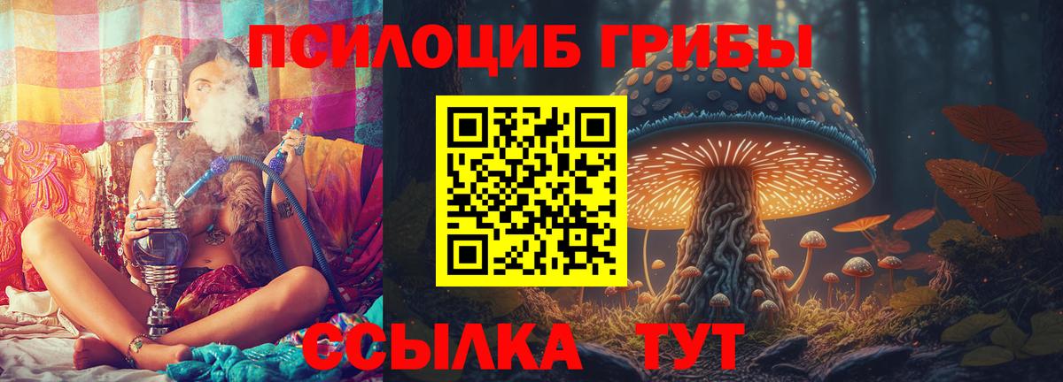 Галлюциногенные грибы MAGIC MUSHROOMS Новочебоксарск