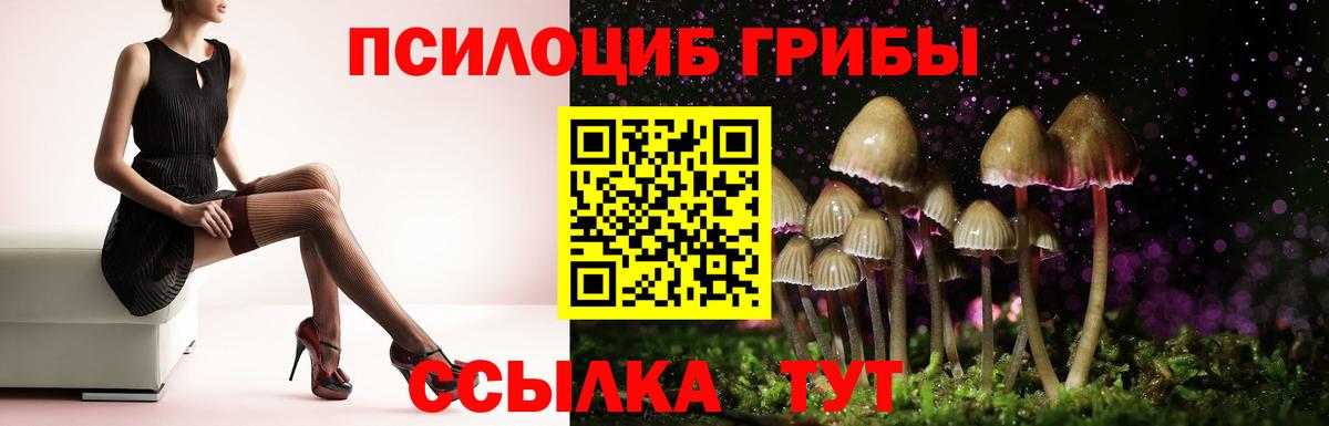 Новочебоксарск  Галлюциногенные грибы Cubensis  Вход с VPN 